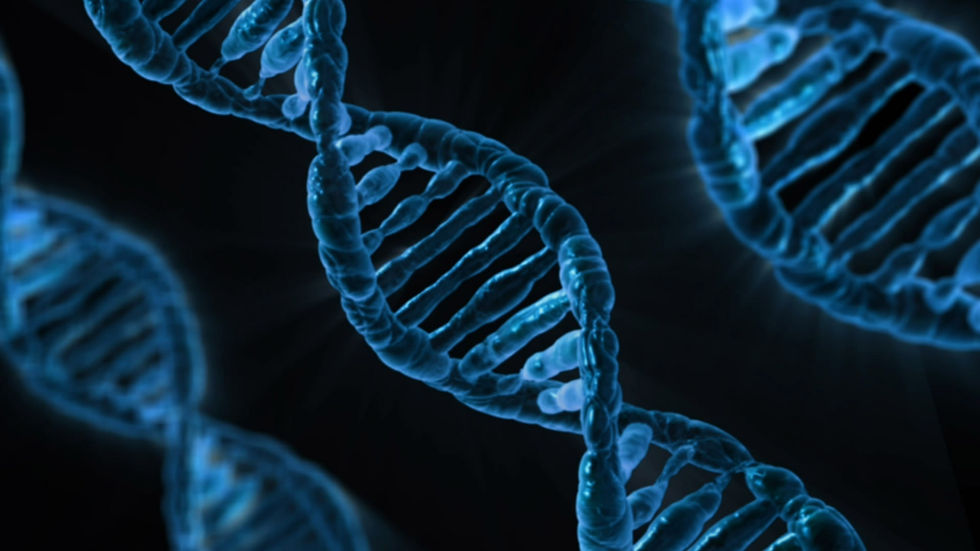dna-163466.jpg