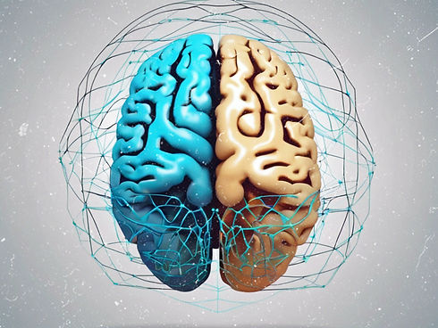 A high quality image of human brain where half of the brain will be a vector outlined line