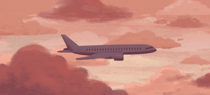 plane.gif